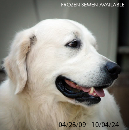 Hudson - Champion Dreamkeeper Unforgettable Song